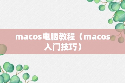 macos电脑教程（macos入门技巧）
