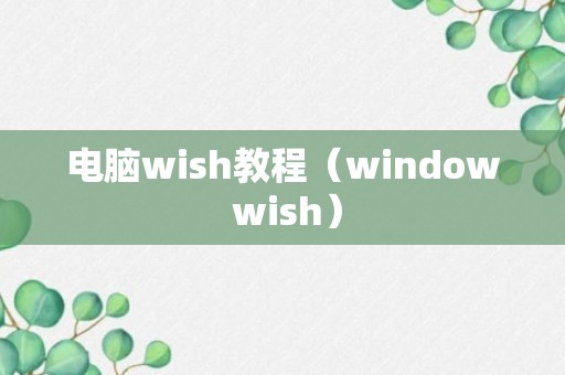电脑wish教程（window wish）